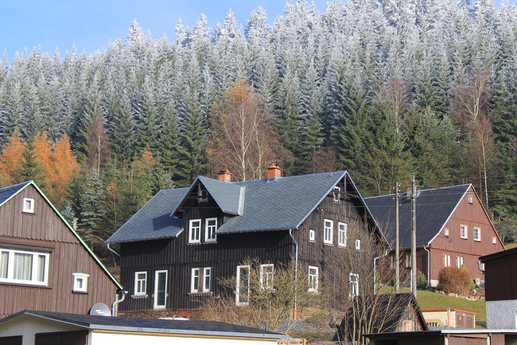 Apartamento Ferienhaus Anno Dazumal, Wie Zu Oma'S Zeiten Klingenthal Exterior foto