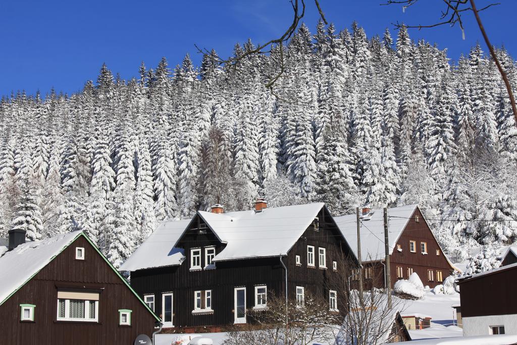 Apartamento Ferienhaus Anno Dazumal, Wie Zu Oma'S Zeiten Klingenthal Exterior foto