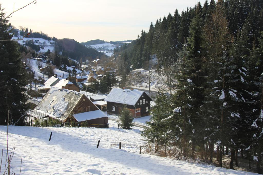 Apartamento Ferienhaus Anno Dazumal, Wie Zu Oma'S Zeiten Klingenthal Habitación foto