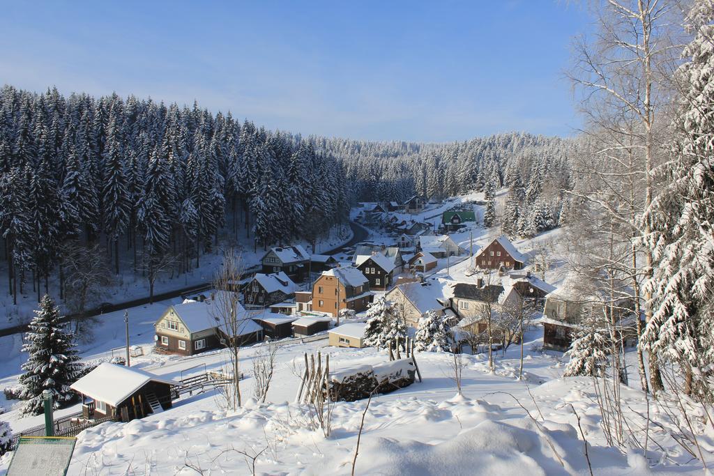 Apartamento Ferienhaus Anno Dazumal, Wie Zu Oma'S Zeiten Klingenthal Habitación foto